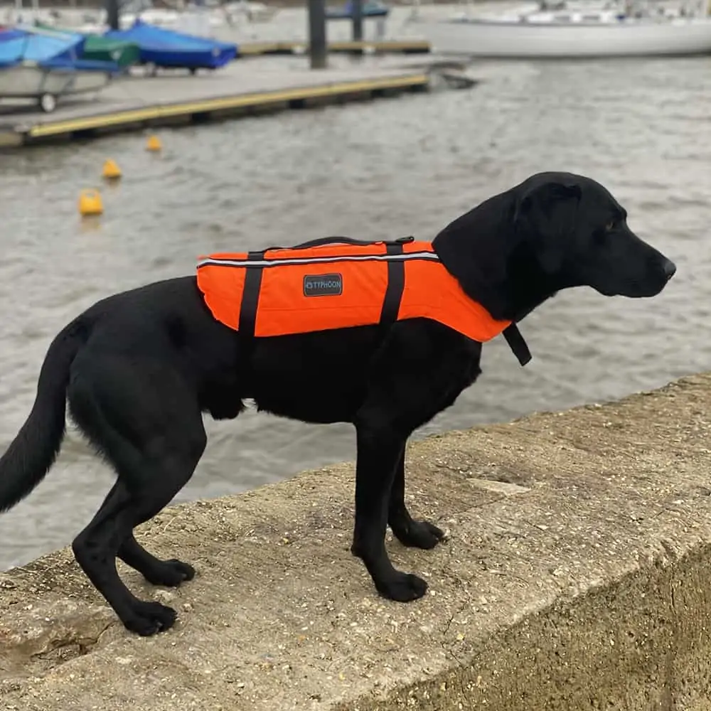 Typhoon Totland Dog Vest - Orange/Black
