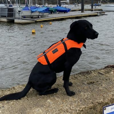 Typhoon Totland Dog Vest - Orange/Black