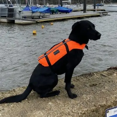 Typhoon Totland Dog Vest - Orange/Black
