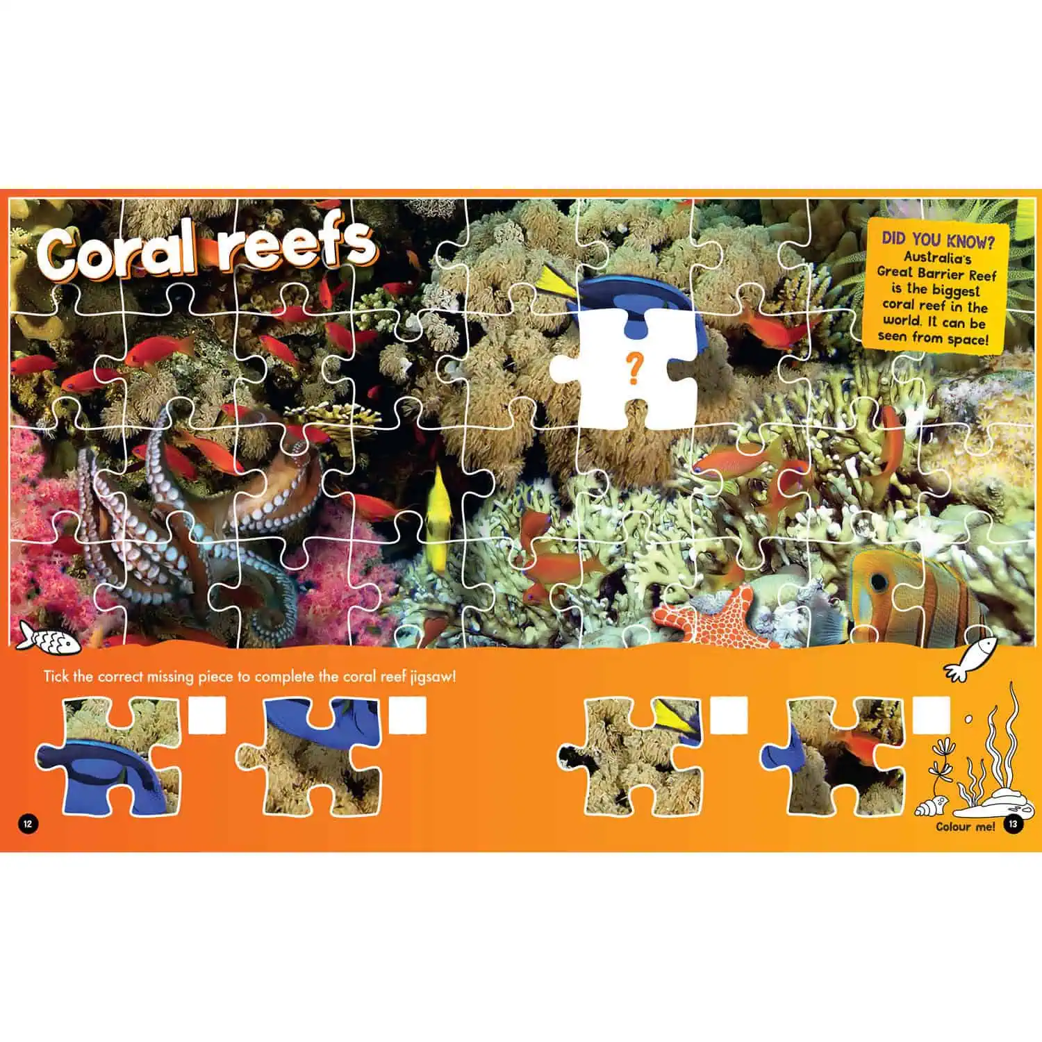 Ocean Activity and Colouring Book - Image