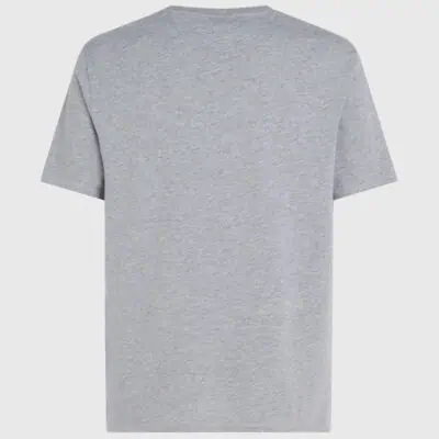 O'Neill Logo T-Shirt for Men - Silver Melee-A