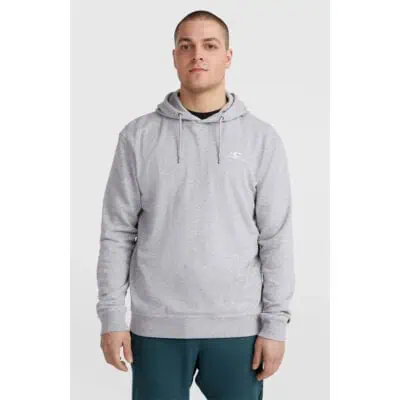 O'Neill Small Logo Hoodie - Silver Melee