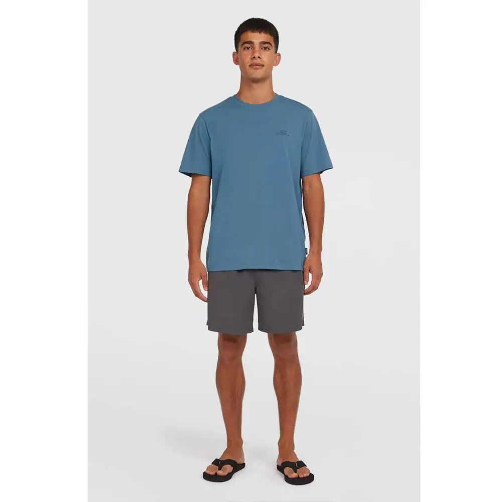 O'Neill Small Logo T-Shirt - Copen Blue