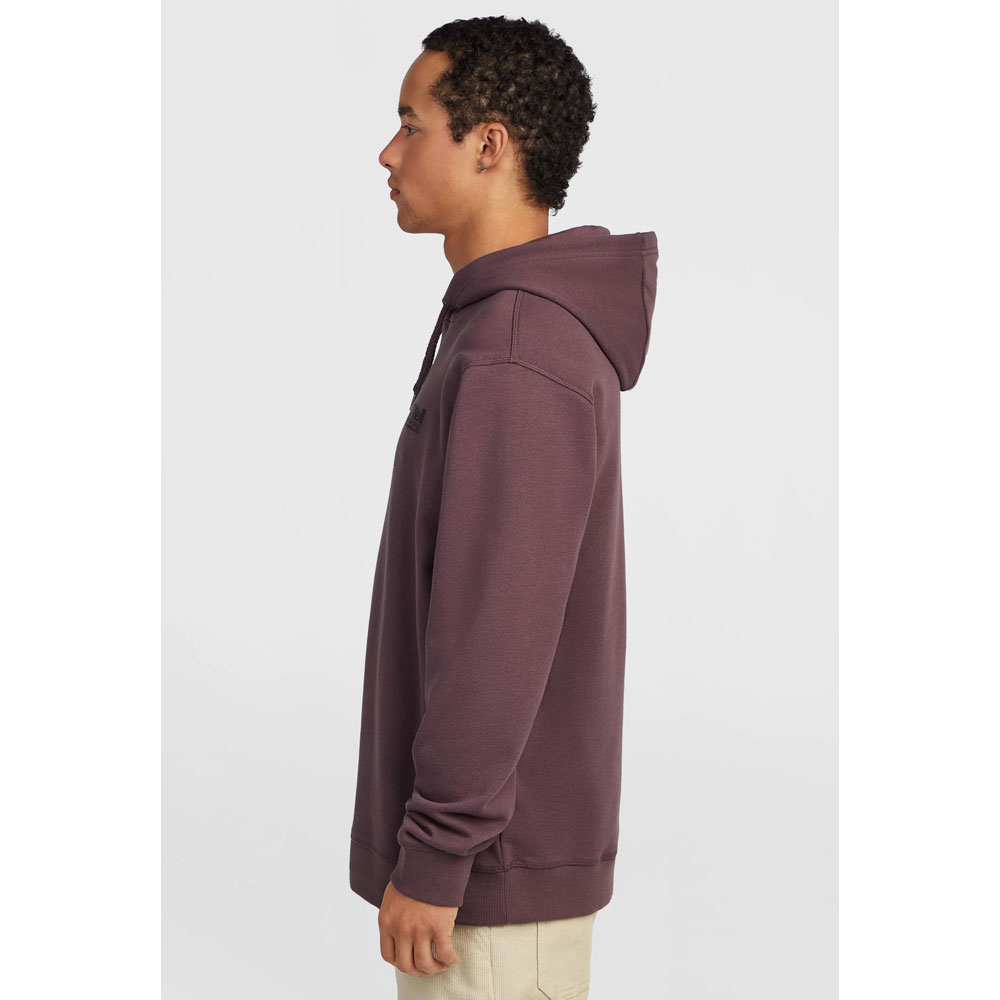 O'Neill Cali Hoodie - Purple Gray